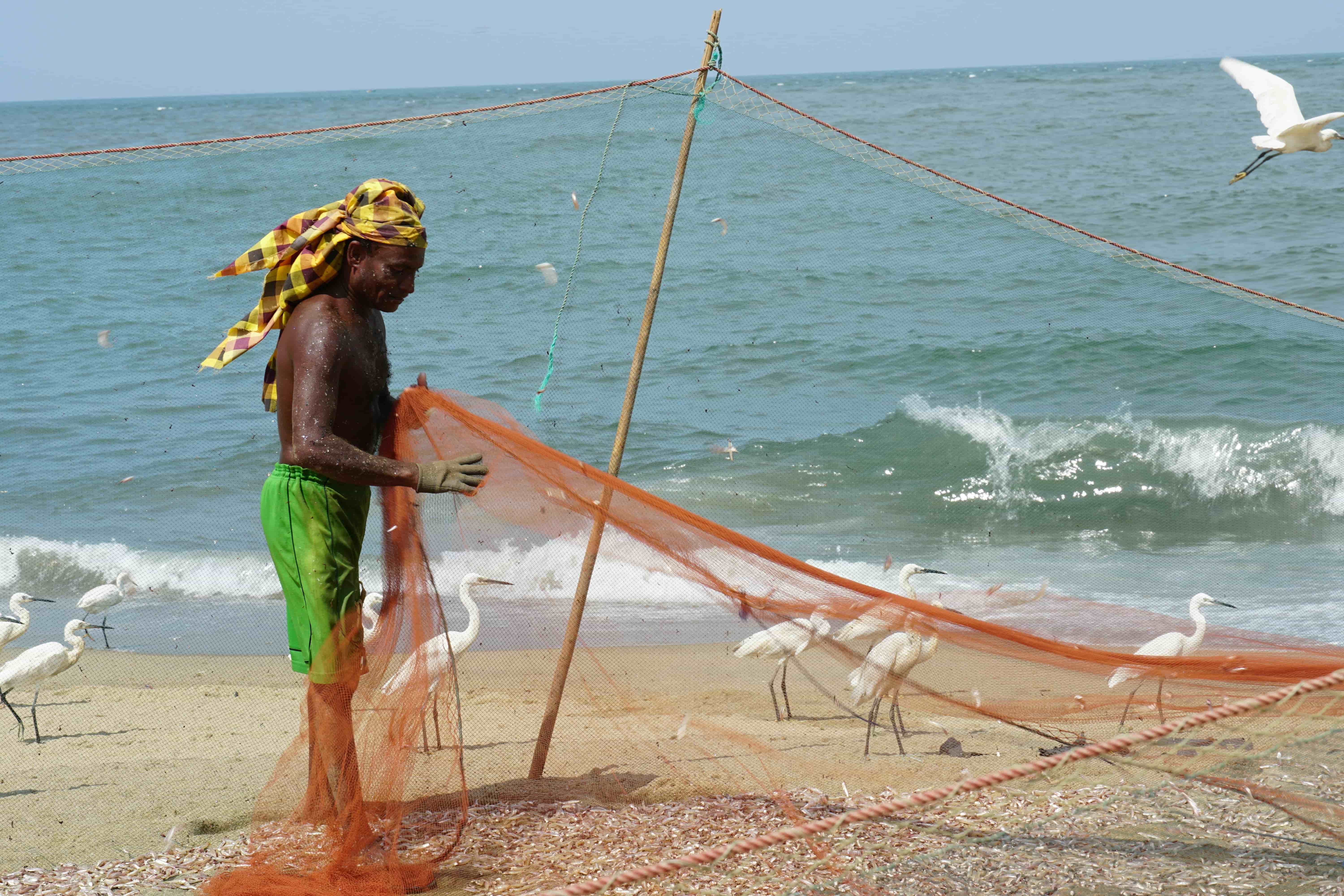 Mount Lavinia Beach