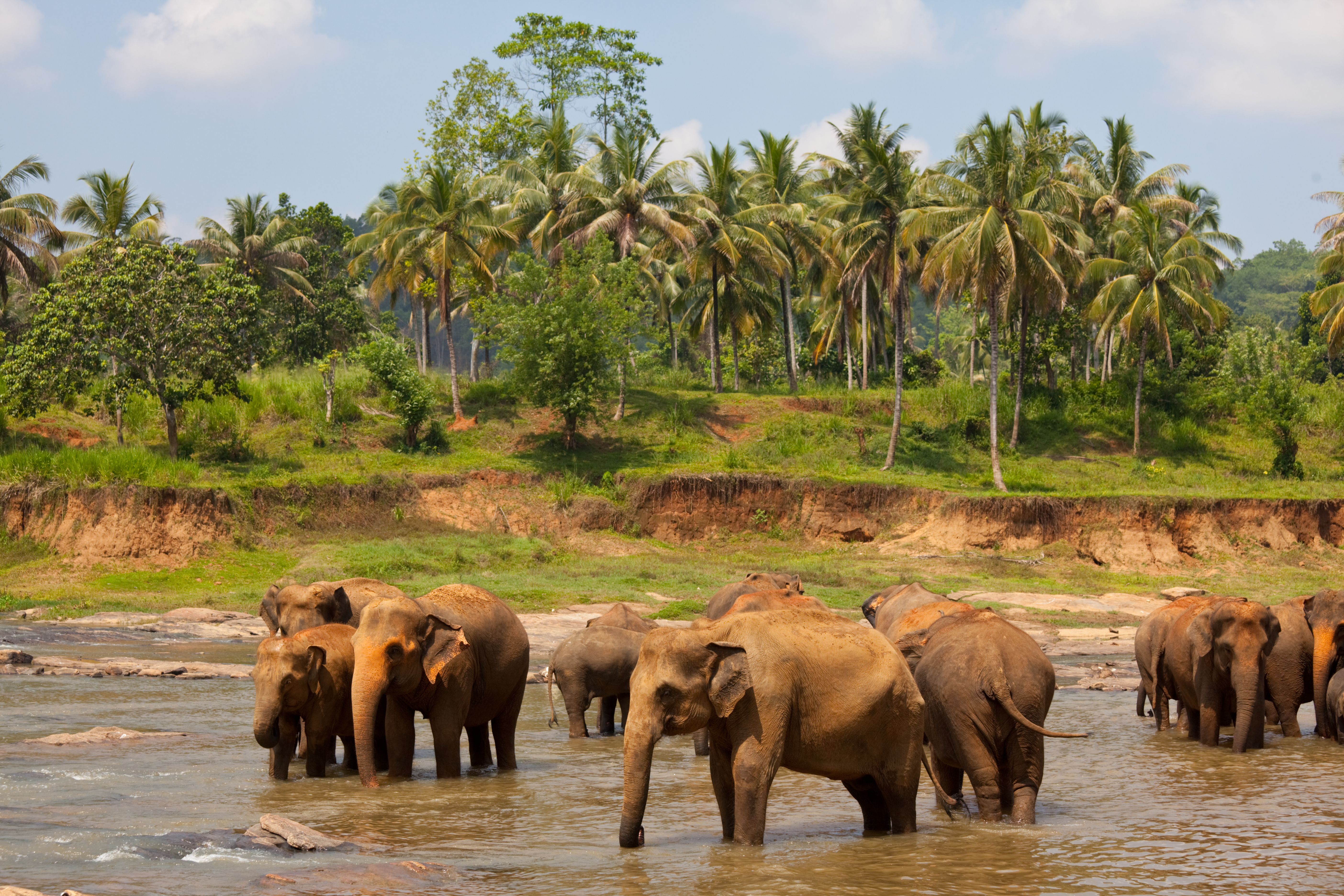 Yala National Park