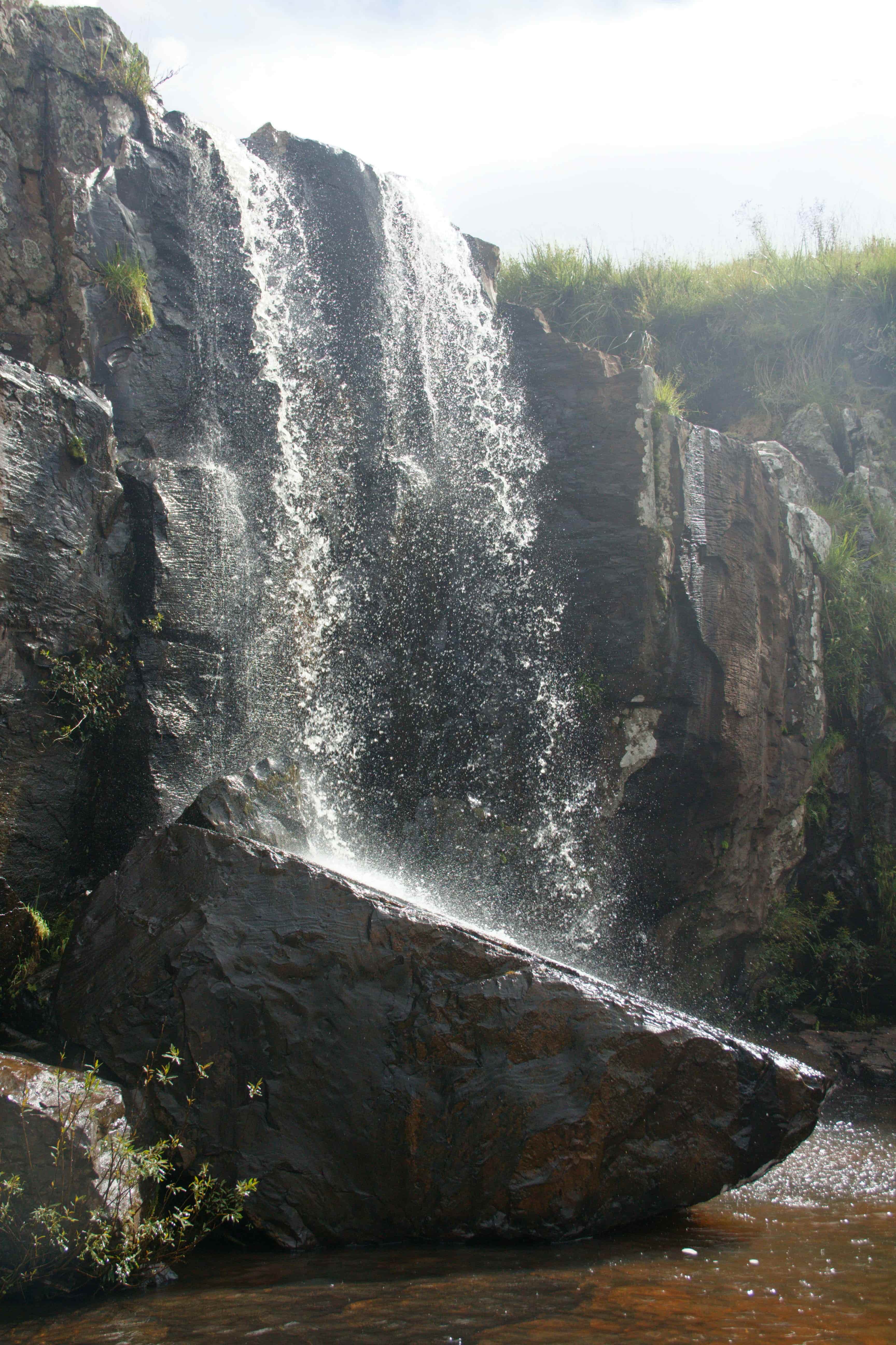 Udawalawe Elephants