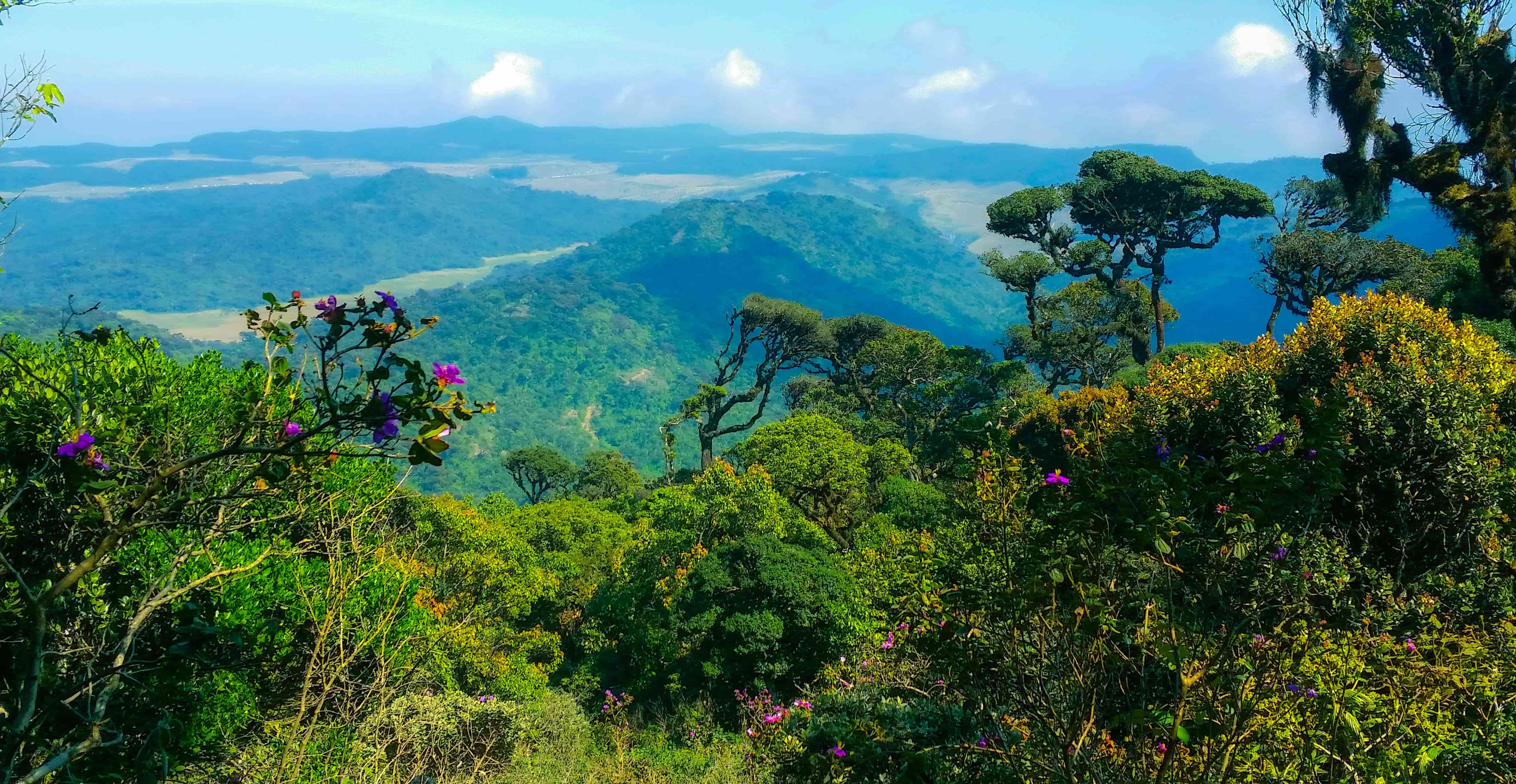 Eco-lodges & Conservation